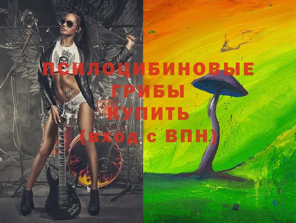 прущая мука Арсеньев