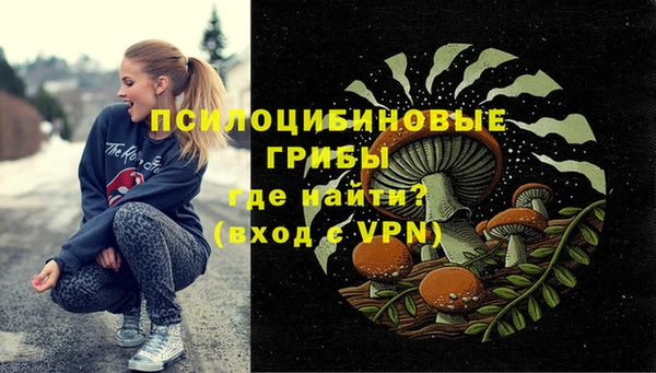 гидра Тавда