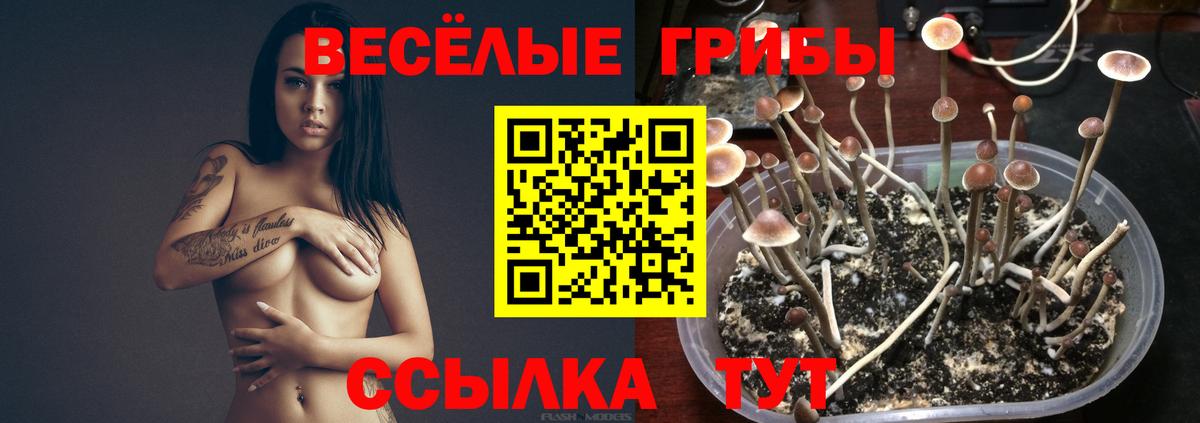 Урай  Псилоцибиновые грибы прущие грибы  Вход с VPN  Псилоцибиновые грибы прущие грибы 